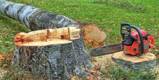 Best Utility Line Clearance  in Butler, IN