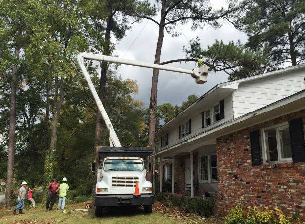 Best Aeration Services  in Butler, IN