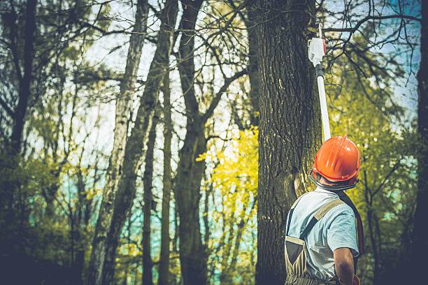  Butler, IN Tree Care Pros